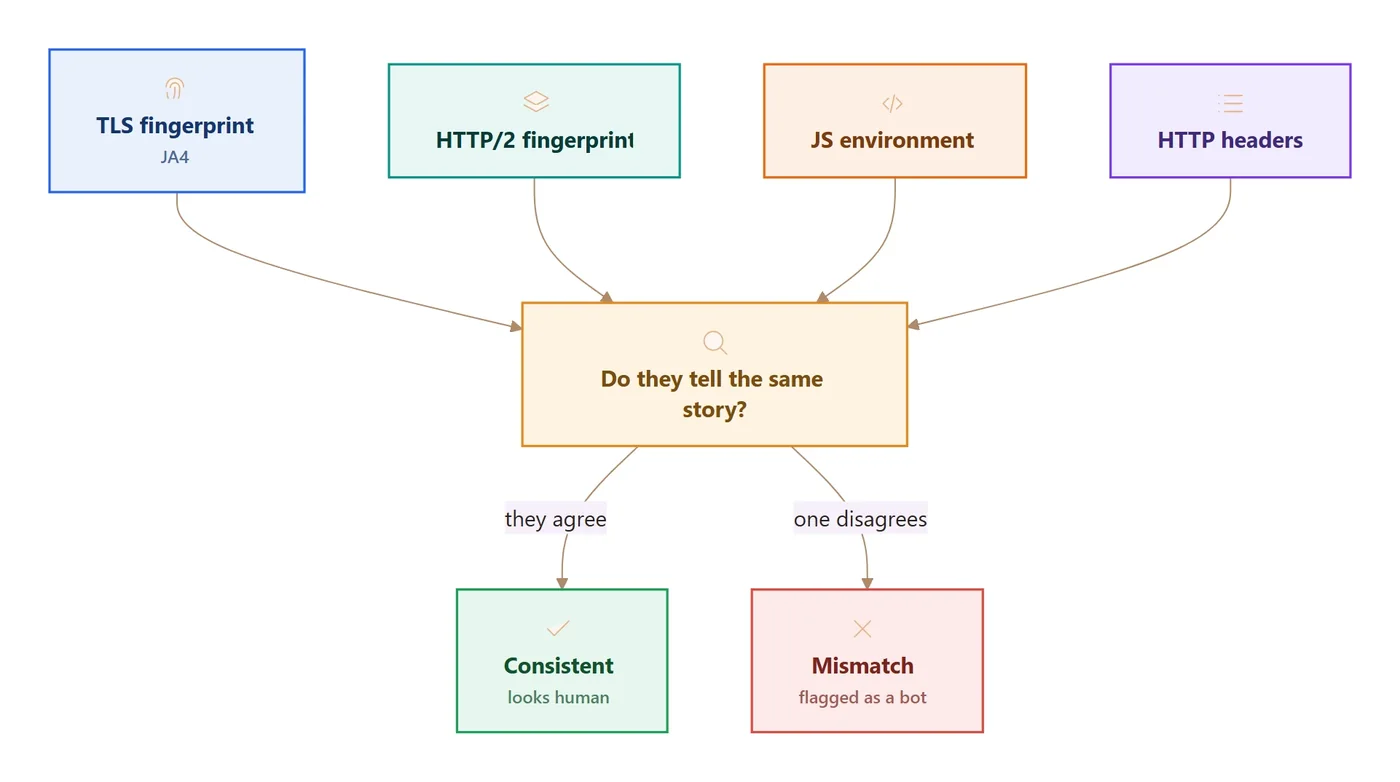 Flow diagram: TLS fingerprint (JA4), HTTP/2 fingerprint, JS environment, and HTTP headers all feed into a check that asks 'do they tell the same story?'. If they agree, the request looks human; if one disagrees, it is flagged as a bot.